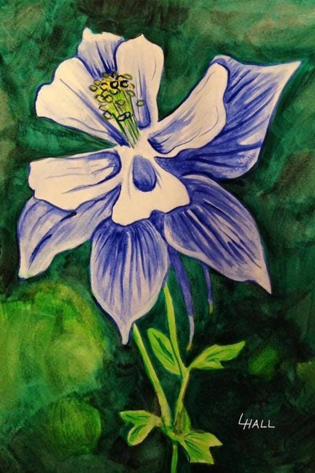 Blue Columbine - Watercolor Painting - Floral - Flower - Colorado ...