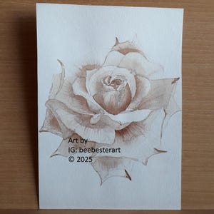 ORIGINAL artwork - Bloomed Rose (painted with herbal tea) Illustration painting