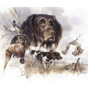 "Aquarell ""Münsterländer Bird Dog"" signierter Druck, Poster münsterländer, munsterlander art, kleiner münsterlander, Geschenk zur Jagd