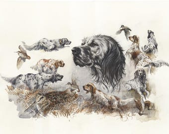 Watercolour print "English setter" by Valery Siurha, english setter, setter, english setter art, english setter dog, english setter gift