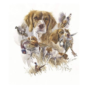 Bretanha. Caça aos pássaros" Impressão em aquarela por Valery Siurha, spaniel brittany, spaniel, cão brittany, arte spaniel brittany, presente para cão brittany