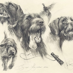 Può includere: Un disegno a matita in bianco e nero di un Bracco tedesco a pelo duro. Il cane è raffigurato in più pose, tra cui la corsa, la posizione eretta e lo sguardo verso l'alto. Il disegno include anche un fagiano e un fischietto da caccia.