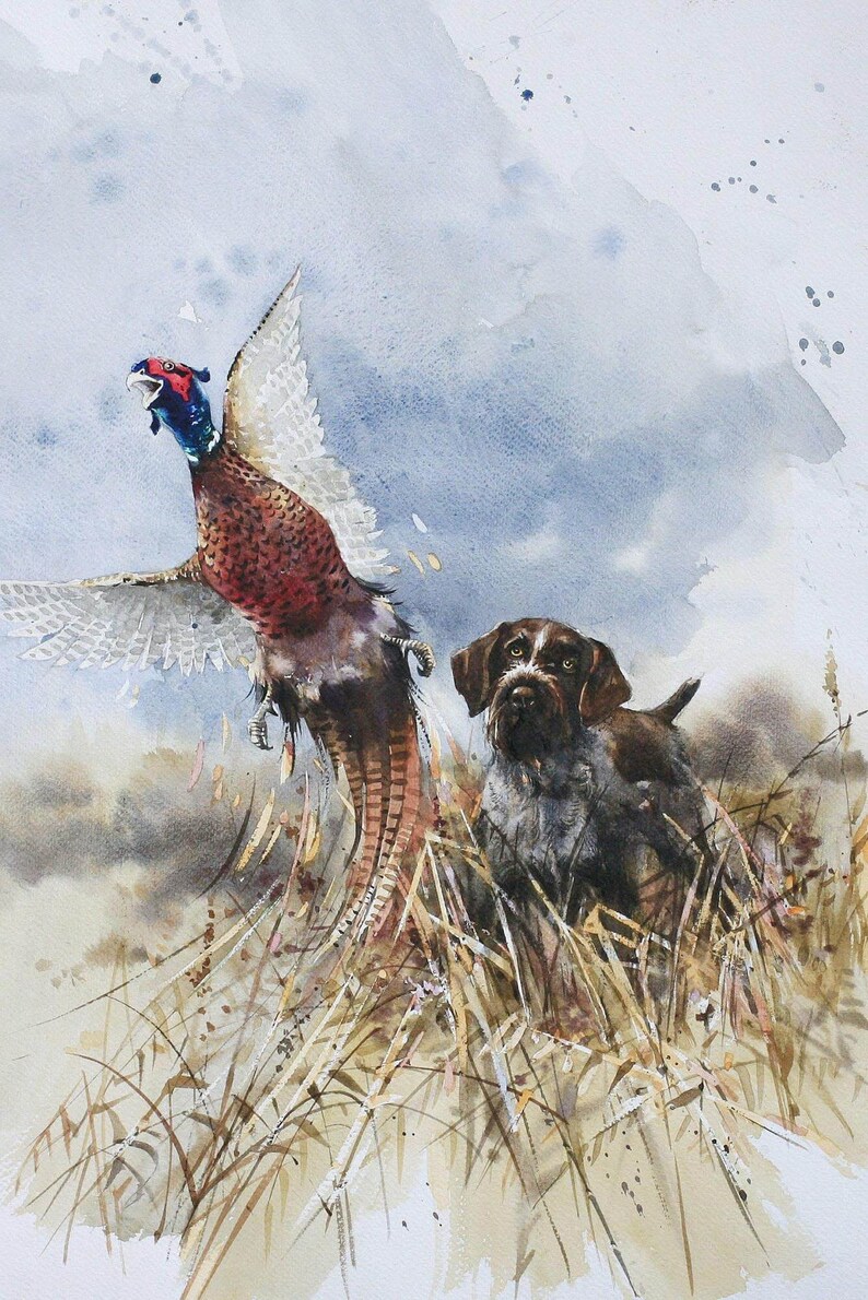 German Wirehaired Pointer Signed Print German Pointer - Etsy