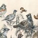 Watercolor Print grouse Ruffled Grouse Grouse - Etsy