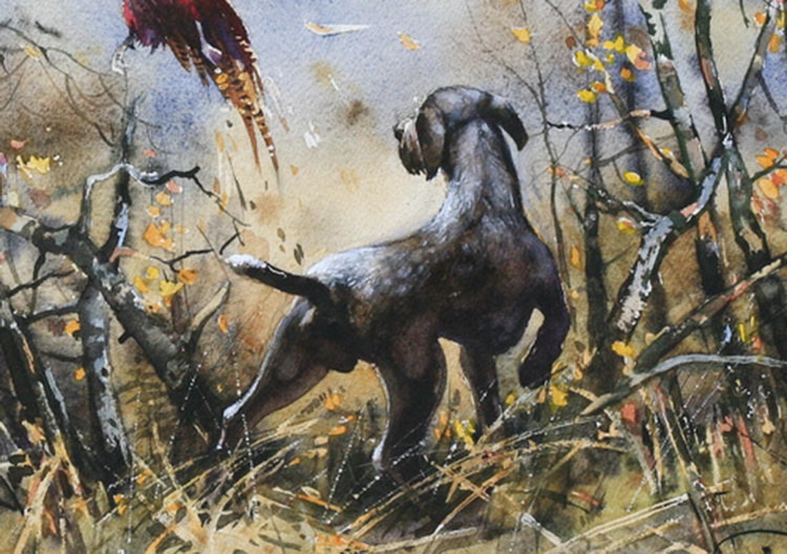 German Wirehaired Pointer Print Drahthaar Print Pointer Art - Etsy