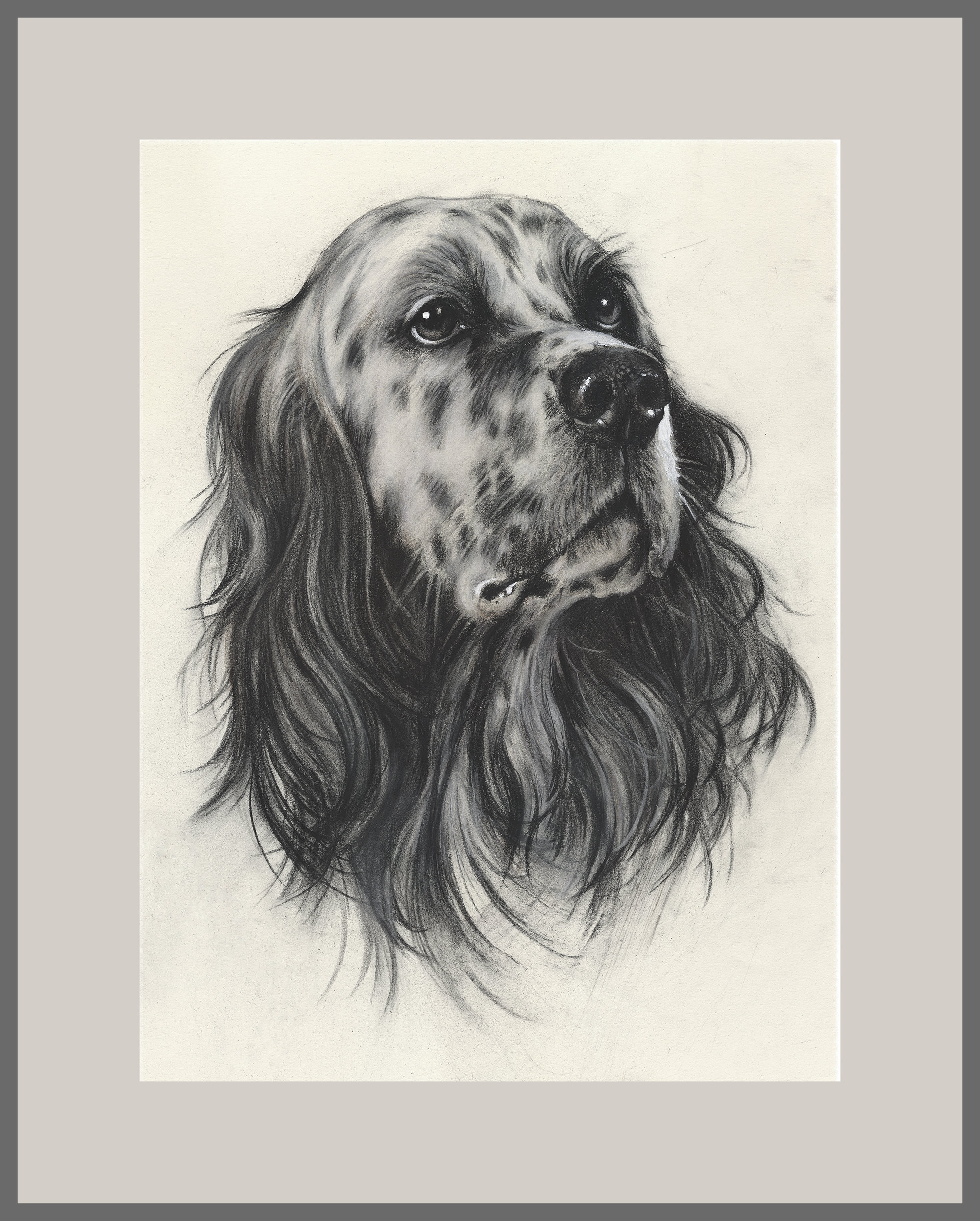 イングリッシュ・セッターの肖像：サイン入り犬アートプリント - Etsy 日本