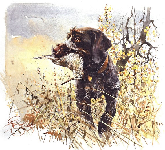 German Wired Hair Pointer Umbrella German Wired Hair Pointer Umbrella