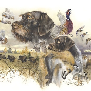 "Herbsthauch Poster ""Herbsthauch"" Poster Drahthaar Pointer Illustration Deutsch Drahthaar Pointer Print