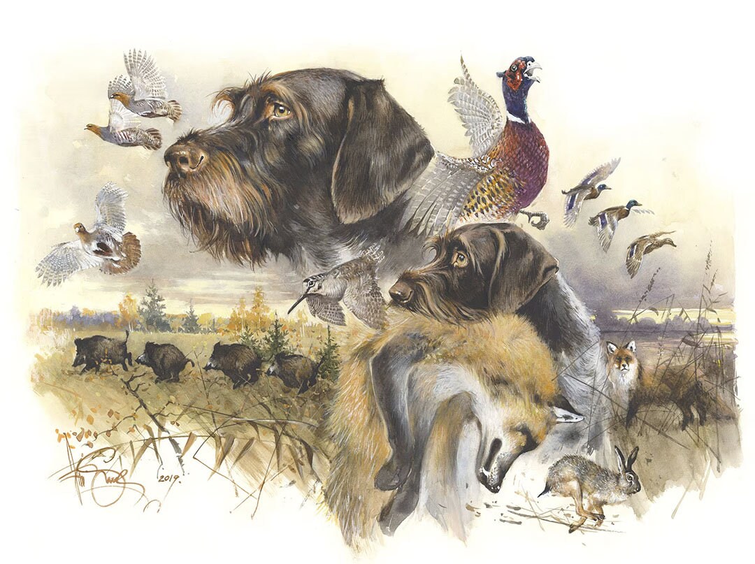 German Wirehaired Pointer Print breath of Autumn - Etsy