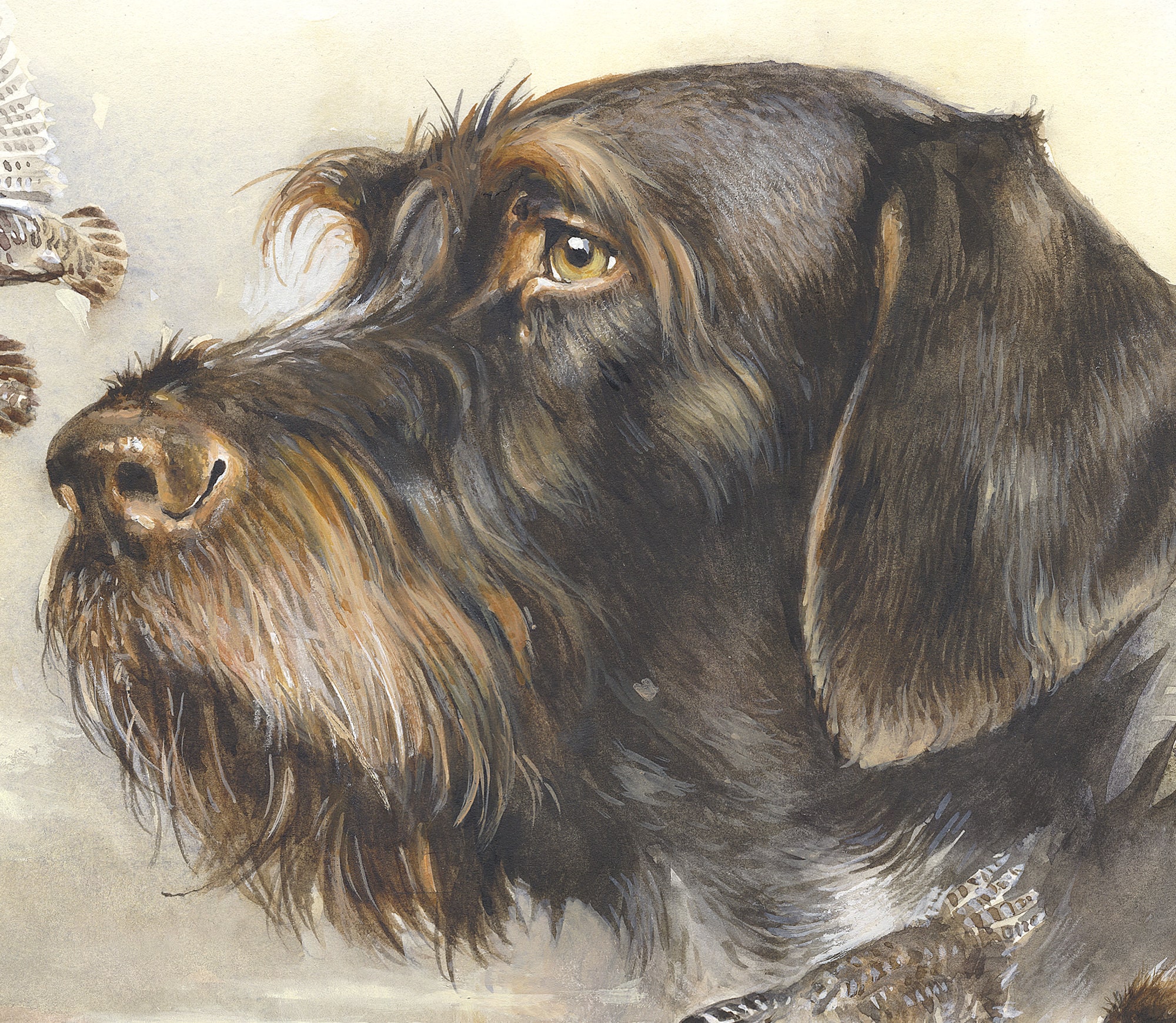 German Wirehaired Pointer Print breath of Autumn | Etsy