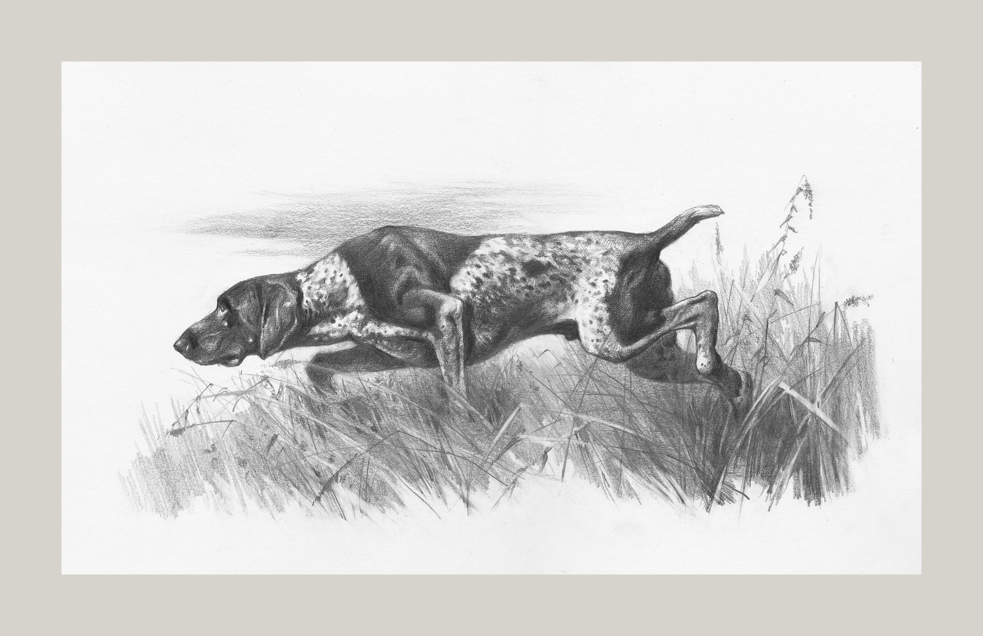 German Shorthaired Pointer Art Print: GSP Dog Portrait - Etsy