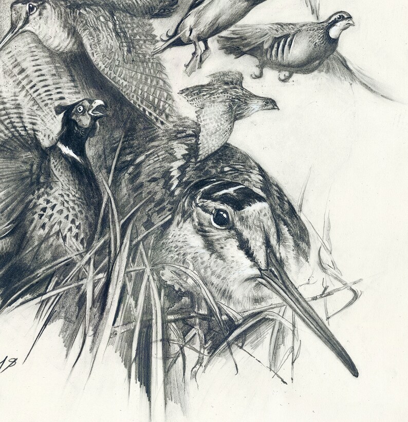 Wild Birds Print Wild Bird Wild Bird Art Pheasant Etsy