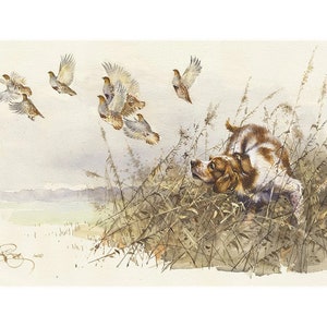 Partridge Hunting&quot; Print Brittany Spaniel Epagneul Breton Gift Epagneul Breton Dog Brittany Hunting Decor Hunting Gift