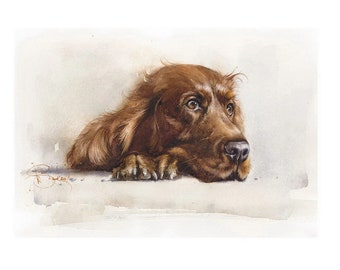 Irish Setter Art Print: Signed Dog Portrait Giclee