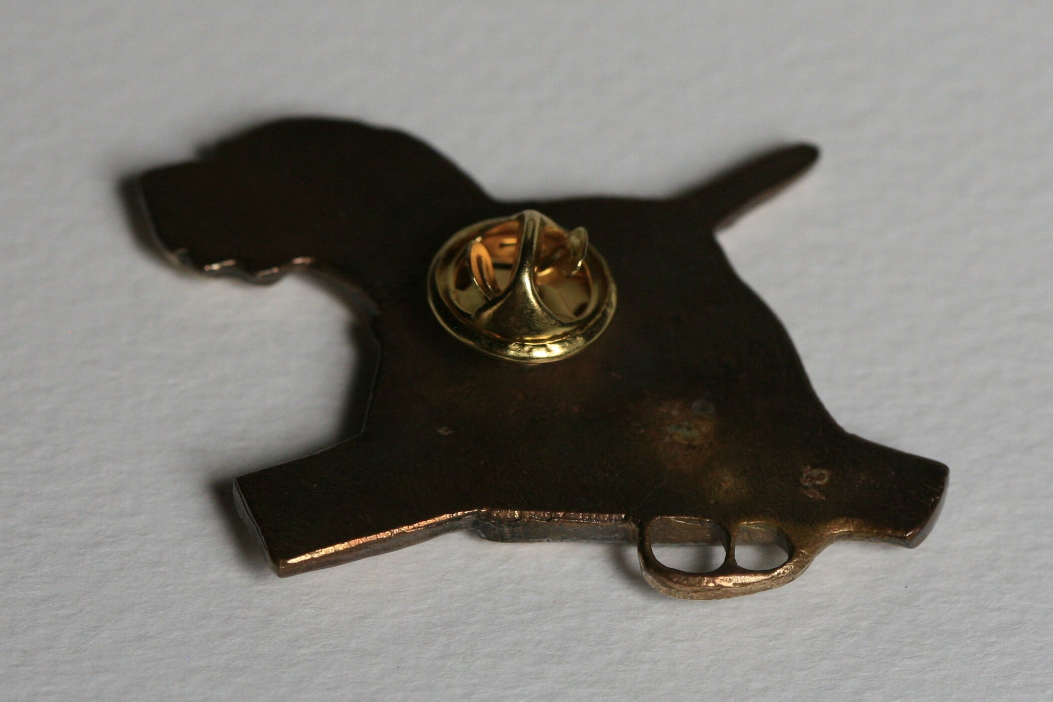 Un Puntero Alemán De Pelo Corto Sobre Un Fondo Blanco. | Foto Premium - Foto 4