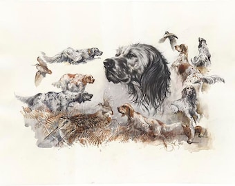 English Setter Watercolor Print: Hunting Dog Art by Valery Siurha