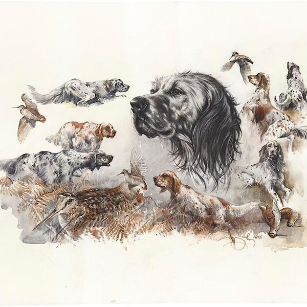 English Setter Print by Valery Siurha, English setter, English setter art, Setter print, Huning gift, Painting english setter, Printed Dogs
