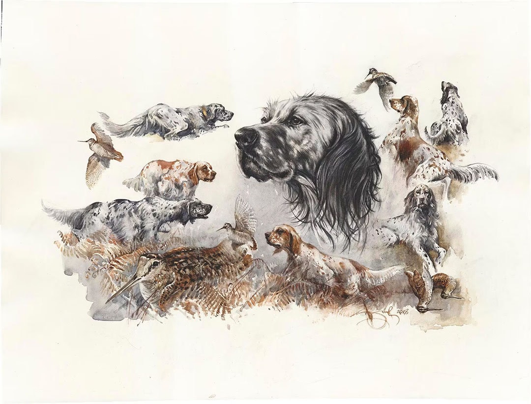 イングリッシュ・セッターの水彩画：ヴァレリー・シウルハによる狩猟犬