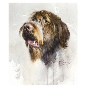 Wirehaired Pointing Griffon Print: Signed Watercolor Dog Portrait