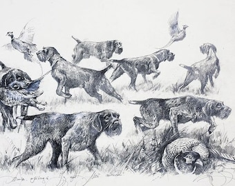 German Wirehaired Pointer Print: Hunting Dog Art by Valery Siurha