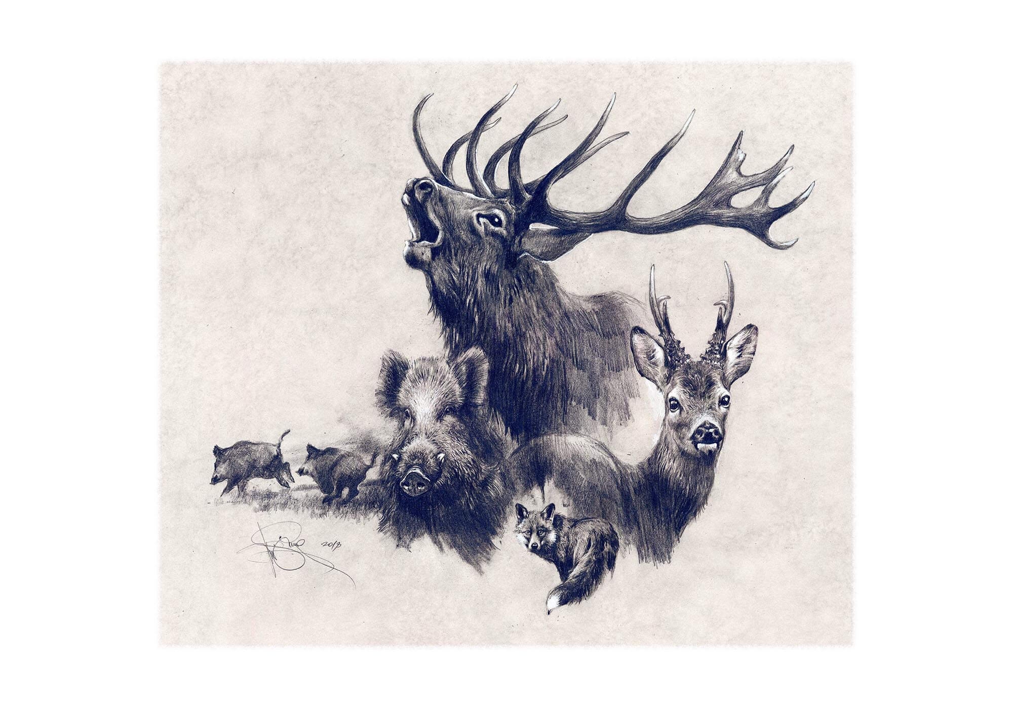 Hunting drawings Deer drawing Hunting art