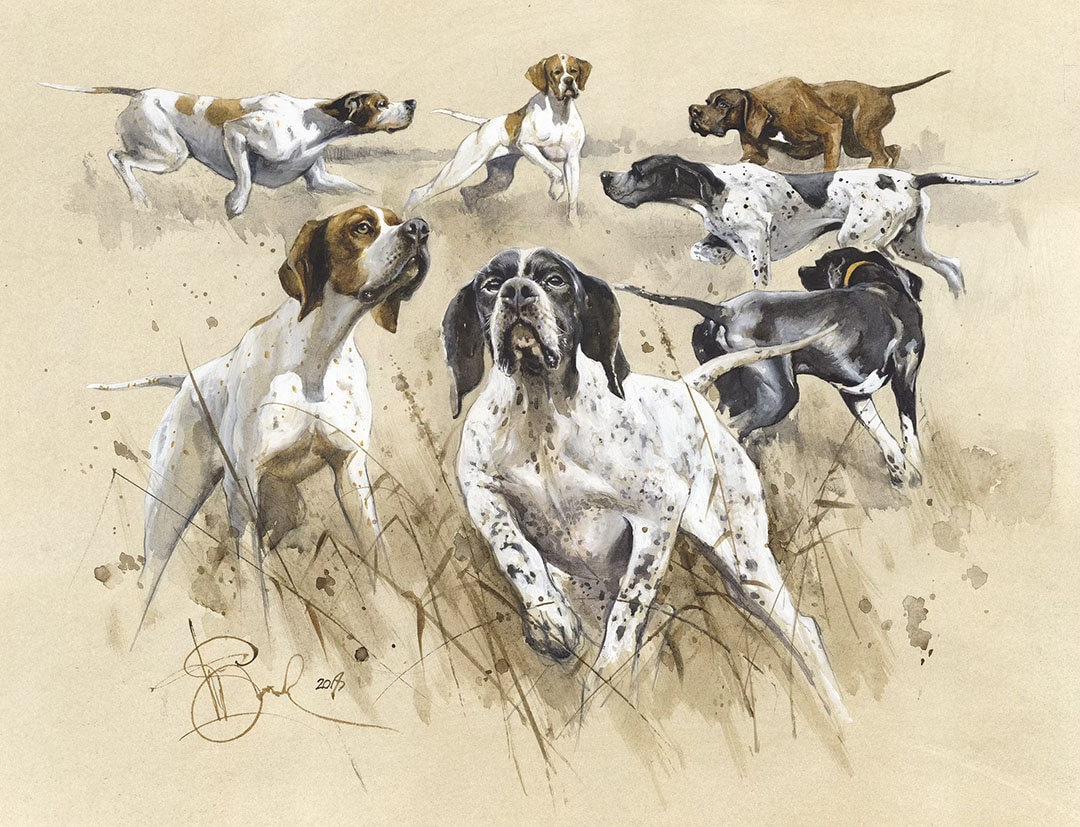 English Pointers Authors Signed Print, English Pointer Art, Pointer