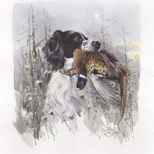 English Setter Winter Pheasant Art: Signed Watercolor Print