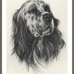 English Setter. Portrait" Author's Signed Print by Valery Siurha ...