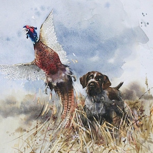 German Wirehaired Pointer Print: Hunting Dog Watercolor Art