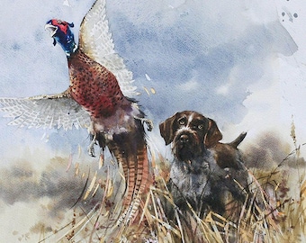 Deutscher Drahthaar Print: Jagdhund Aquarell-Kunst