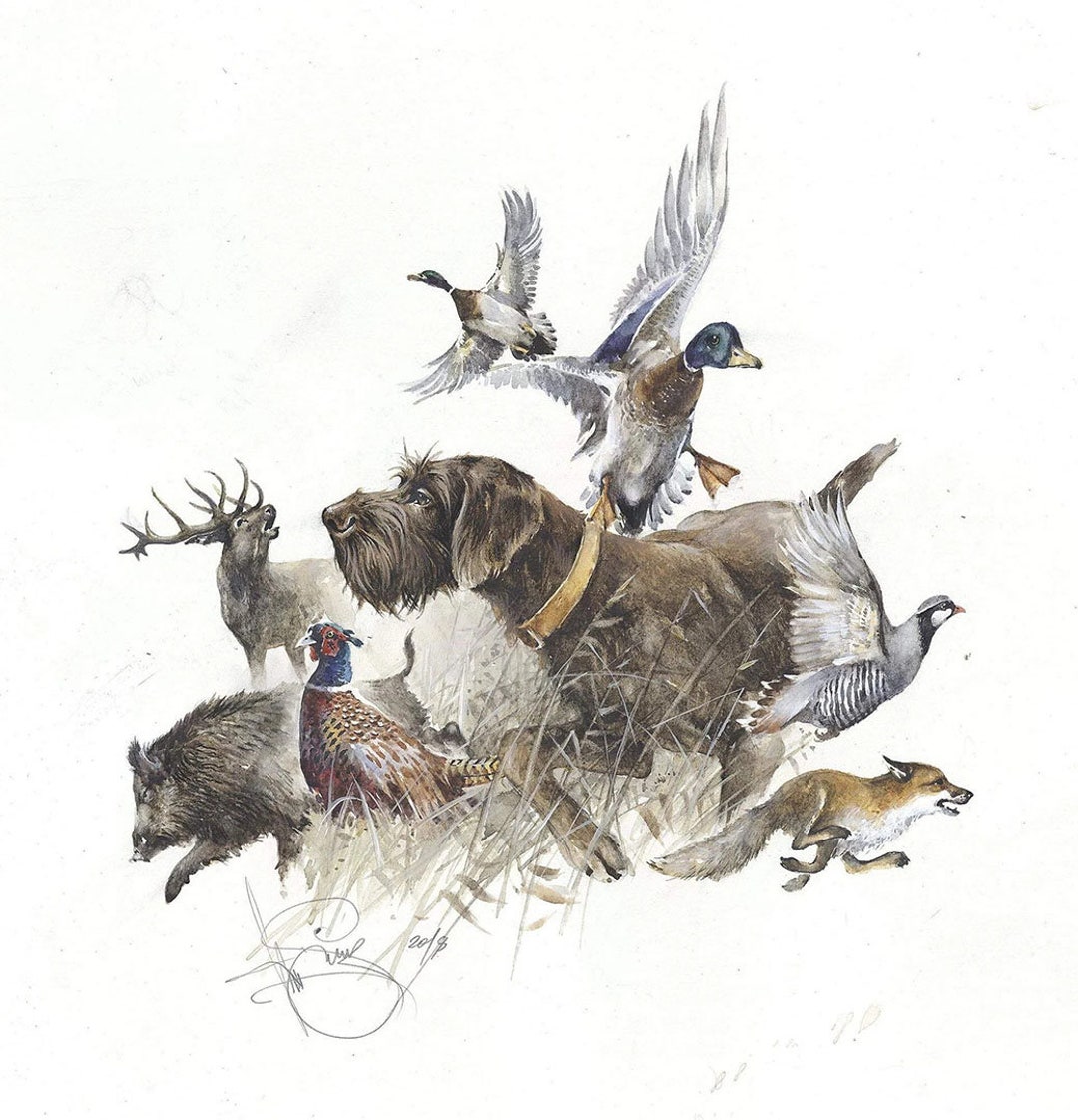 Pudelpointer Dog Print: Signed Watercolor Hunting Art