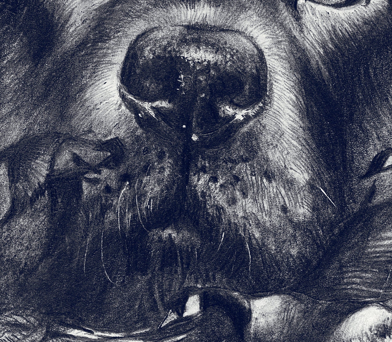 Labrador. Oh My Dreams ... Graphic Drawing Labrador | Etsy