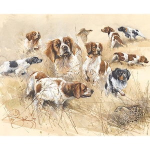 Pointing. Author&#39;s signed giclee on thick watercolor paper by Valery Siurha // French Brittany Spaniel // Brittany Spaniel Art