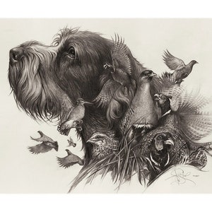 Oh, i miei sogni...Spinone Italiano Stampa firmata dall'autore di Valery Siurha spinone italiano arte, spinone arte, spinone, cane italiano, italiano