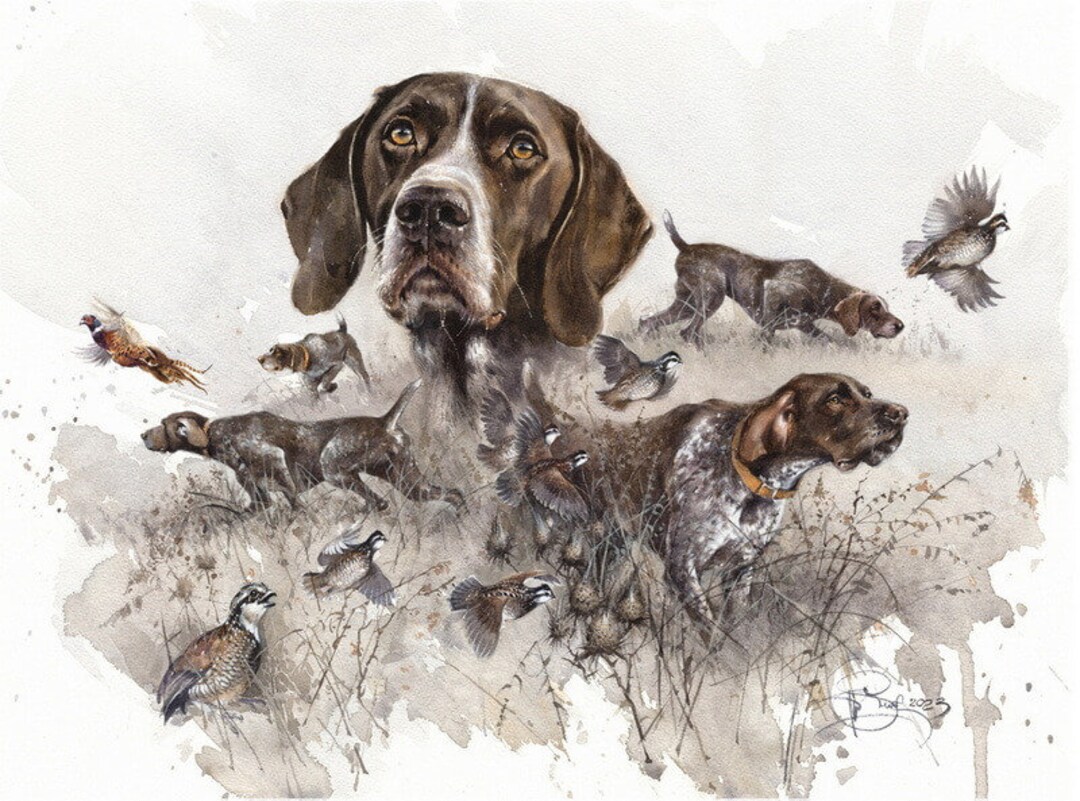 German Shorthaired Pointer Art Print: Signed Watercolor Dog Portrait - Etsy