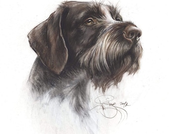 German Wirehaired Pointer Portrait: Watercolor Hunting Dog Art