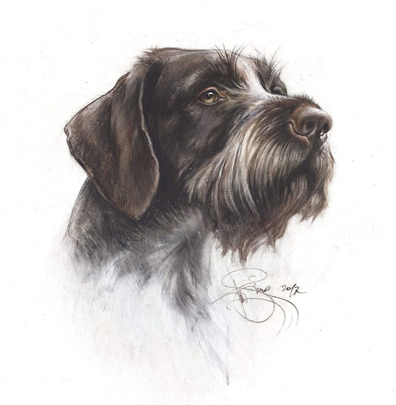 German Wired Hair Pointer Umbrella German Wired Hair Pointer Umbrella