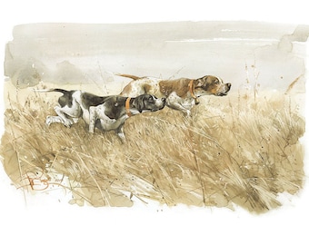 Englischer Pointer Hund Kunstdruck: Signiertes Aquarellbild