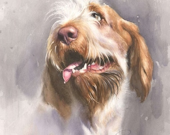 Smile of Spinone" Author's Signed Print by Valery Siurha //  spinone italiano art // spinone art // spinone //  italian dog // dog art