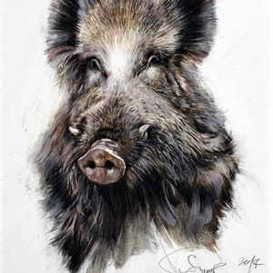Wild Boar 14,1-19,6" Signed Author"s Print Wild Boar Art Hunting Art Boar Hunting Decor Hunting Gifts Wild Pig Wildlife Gift For Hunter