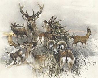 Red Deer Hunting Print: Signed Watercolor Art