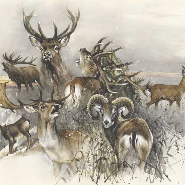 Trophäenjagd Poster Rotwild bei der Jagd Edelwild Сhamois Reh Damhirschkuh Mufflon Schaf Jagddekor