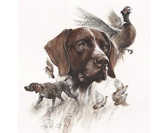 German Shorthaired Pointer Watercolor Portrait Print: Hunting Dog Art
