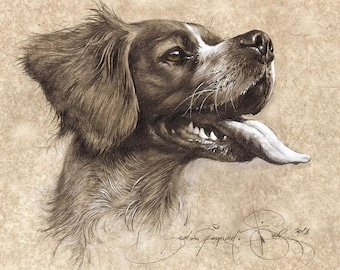 Stampa artistica da parete raffigurante un Brittany Spaniel, ritratto di cane da caccia, opera d'arte firmata e rifinita a mano.