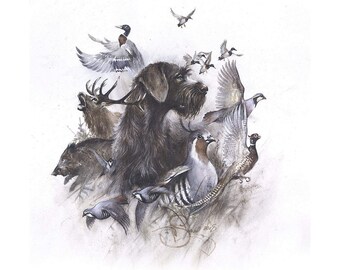 German Wirehaired Pointer Hunting Art: Signed Watercolor Giclée Print