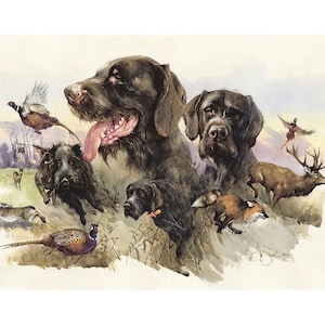 German Wirehaired Pointer Print: Hunting Dog Art by Valery Siurha
