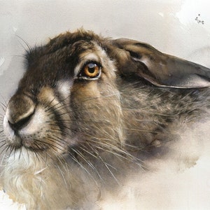 Signed Wild Hare Giclee Print: Limited Edition Watercolor