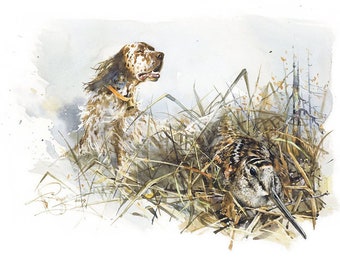 English Setter Watercolor Print: Dog Art, Signed Reproduction