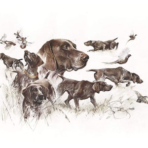 May include: A watercolor painting of a brown and white German Shorthaired Pointer dog in various poses. The dog is surrounded by birds, including quail and a pheasant.