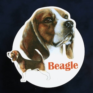 Hunde Aufkleber &quot;Beagle&quot;, Aufkleber für Auto &quot;&quot;Beagle&quot;&quot;, Hundeaufkleber, Autoaufkleber, Geschenk, Wandaufkleber, Fensteraufkleber, Vinyl-Auto, Laptop Aufkleber.&quot;